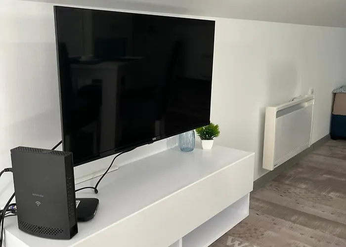 24 阿然德洛维克