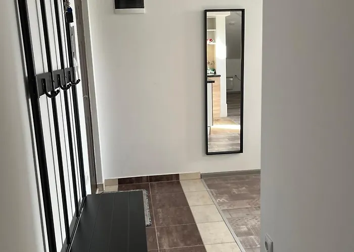 24 阿然德洛维克